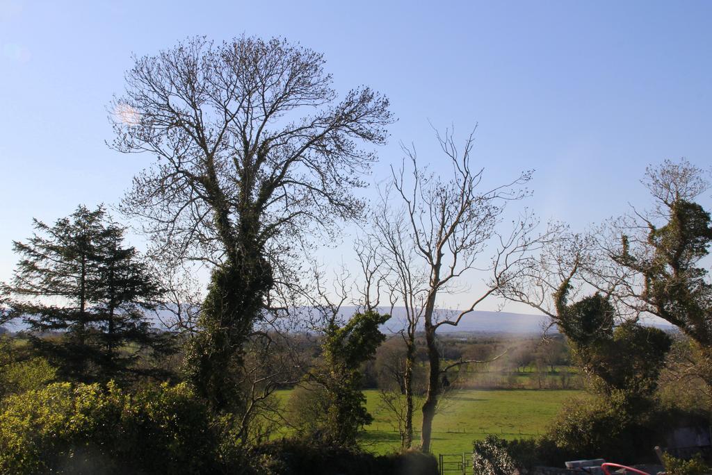 Woodview House Bed And Breakfast Ballinrobe Dış mekan fotoğraf