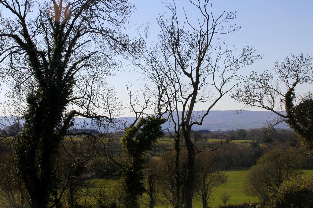 Woodview House Bed And Breakfast Ballinrobe Oda fotoğraf